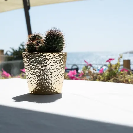 Italia E Lido 3* Rapallo